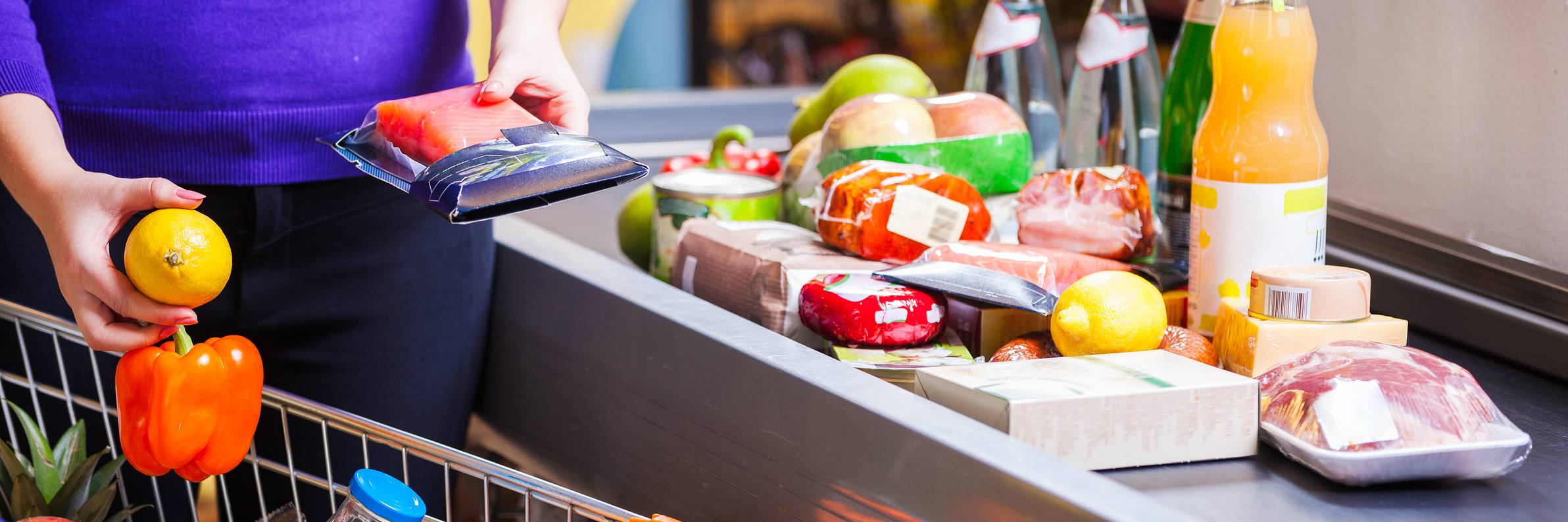 Industria alimentare e degli alimenti per animali Dürr