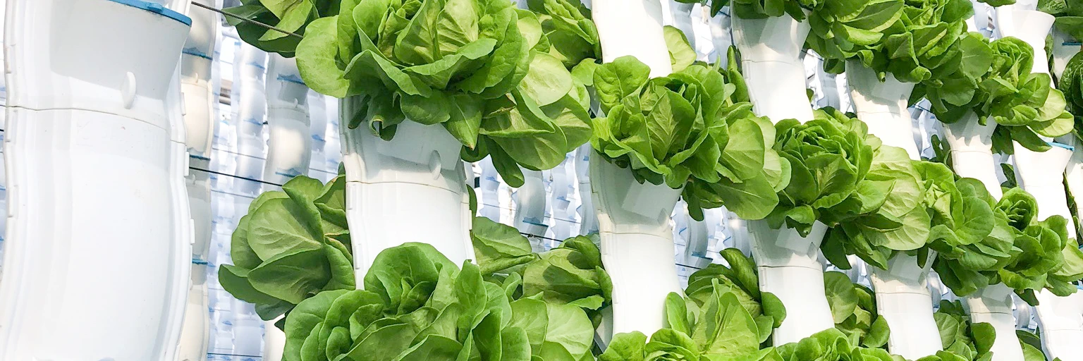 sun powered vertical farming 