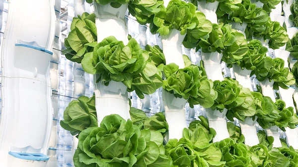 EcoY - Vertical farming