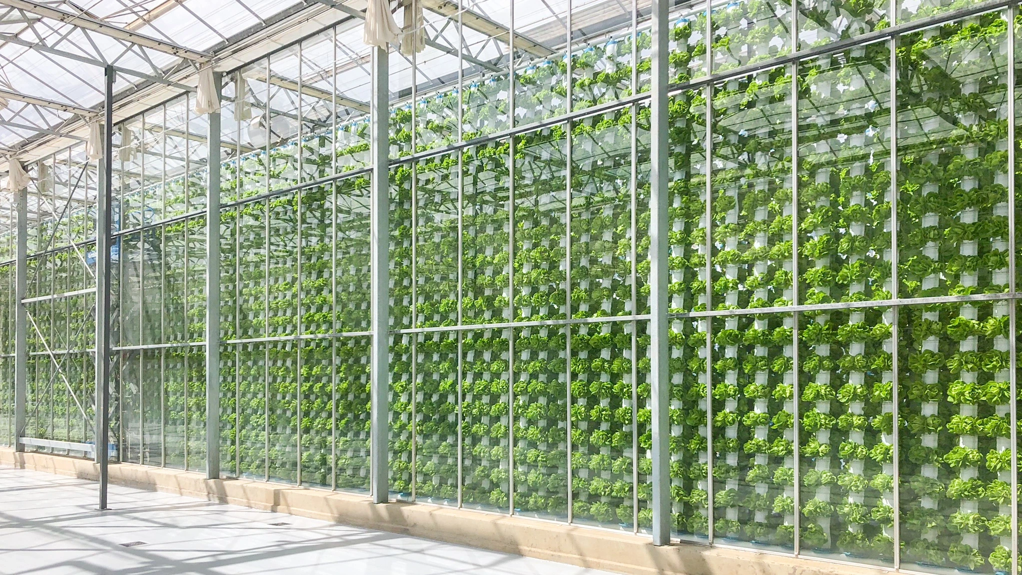 EcoY - Vertical farming