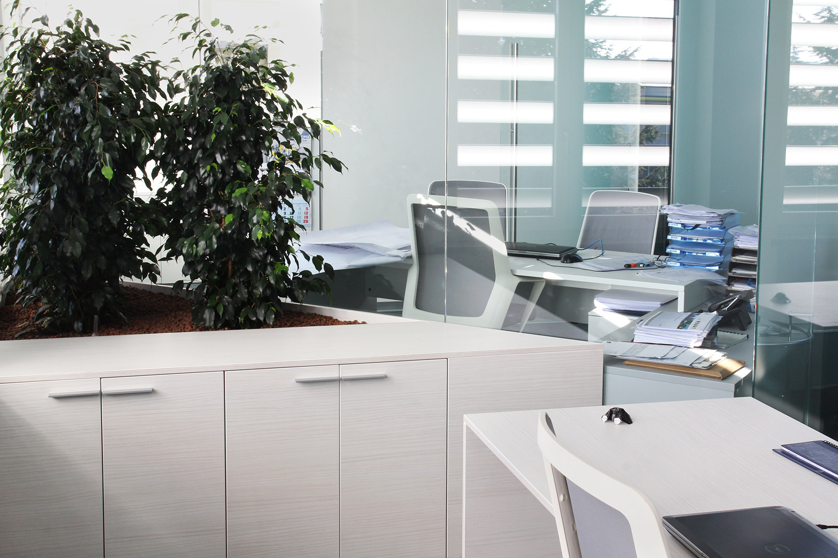 CPM Company in Italy